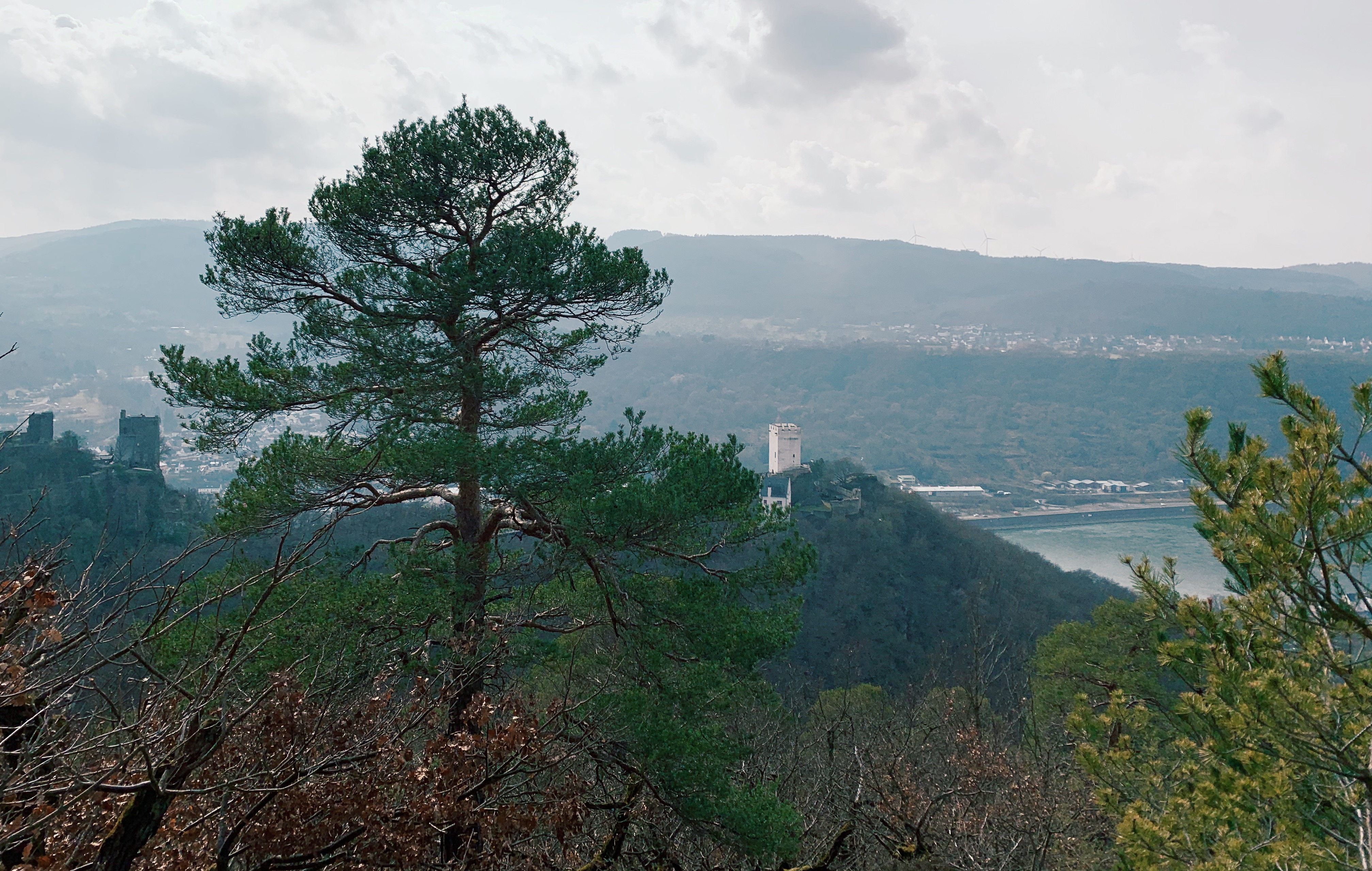 view-of-two-castles-Burg-Liebenstein-and-Burg-Sterrenberg-on-the-rheinsteig-hiking-trail-in-germany