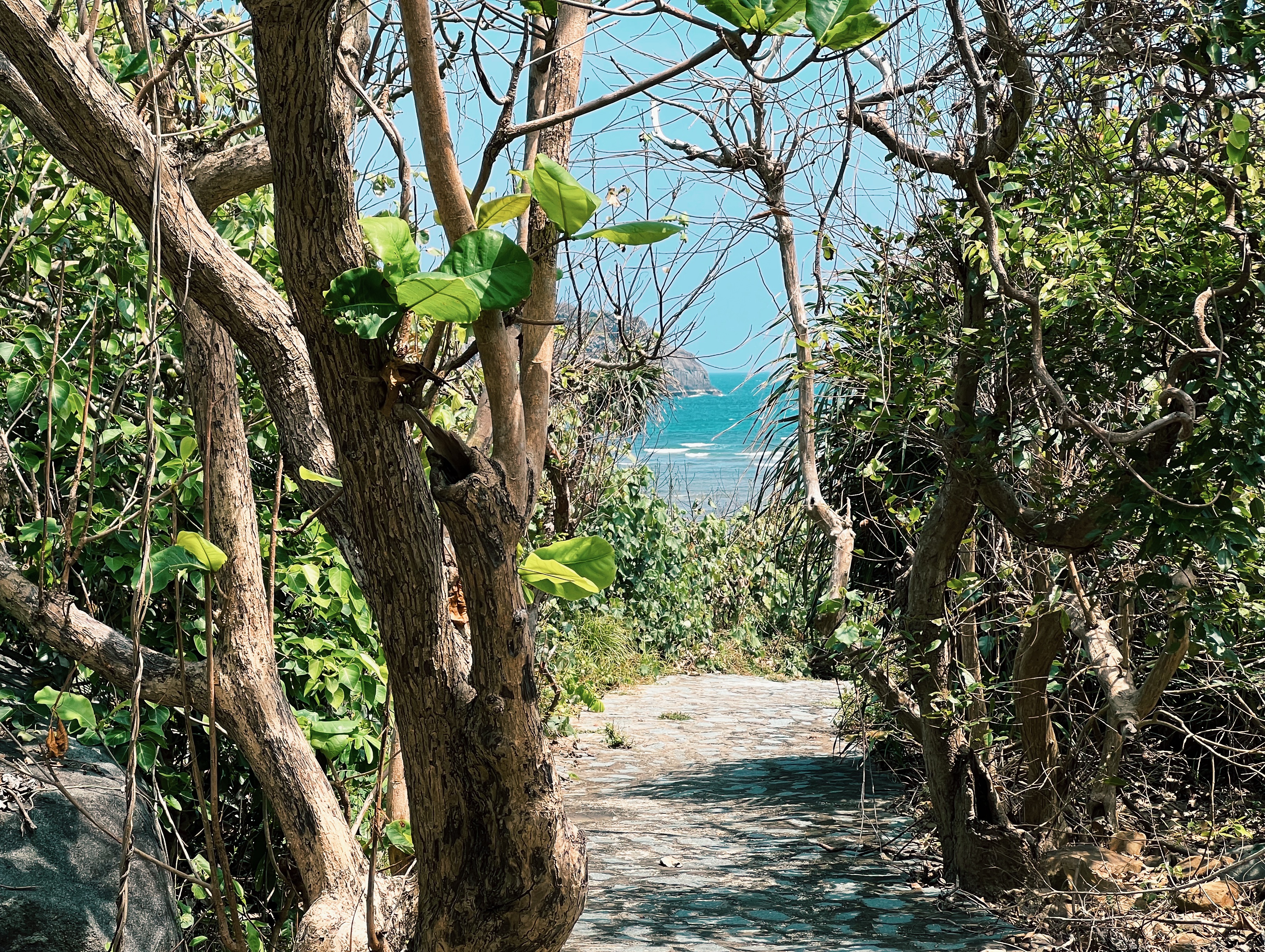 View of ocean from hiking trail on Con Dao Island, Vietnam